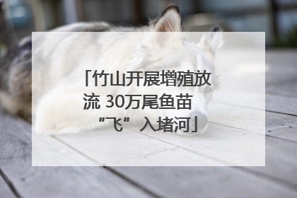 竹山开展增殖放流 30万尾鱼苗“飞”入堵河
