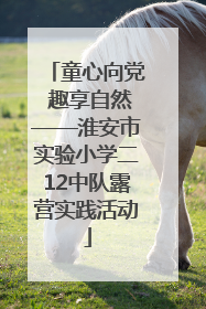 童心向党 趣享自然——淮安市实验小学二12中队露营实践活动