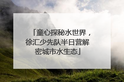童心探秘水世界，徐汇少先队半日营解密城市水生态