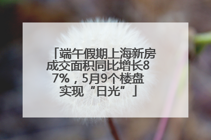 端午假期上海新房成交面积同比增长87%，5月9个楼盘实现“日光”
