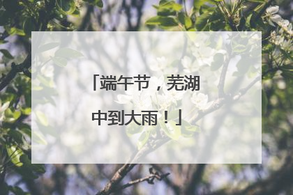 端午节，芜湖中到大雨！