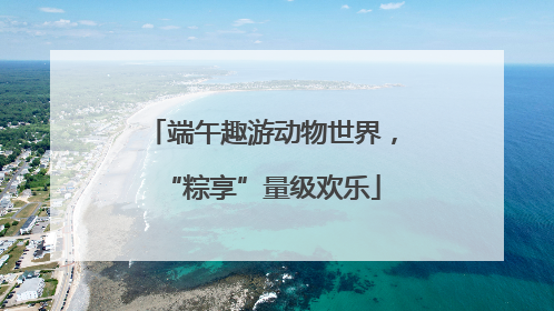 端午趣游动物世界，“粽享”量级欢乐