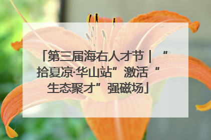 第三届海右人才节｜“拾夏凉·华山站”激活“生态聚才”强磁场