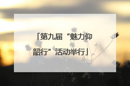 第九届“魅力仰韶行”活动举行