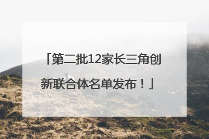 第二批12家长三角创新联合体名单发布！