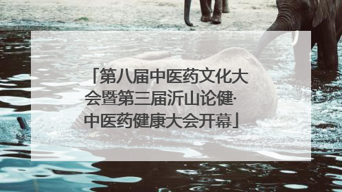 第八届中医药文化大会暨第三届沂山论健·中医药健康大会开幕