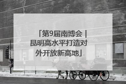 第9届南博会｜昆明高水平打造对外开放新高地