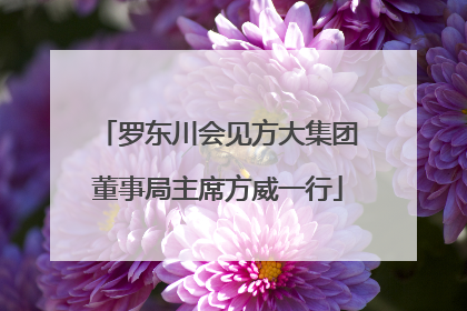 罗东川会见方大集团董事局主席方威一行