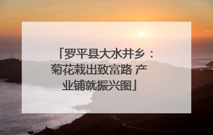 罗平县大水井乡：菊花栽出致富路 产业铺就振兴图