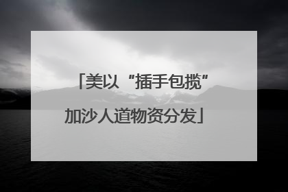美以“插手包揽”加沙人道物资分发