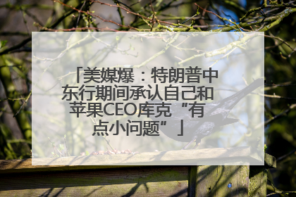 美媒爆：特朗普中东行期间承认自己和苹果CEO库克“有点小问题”