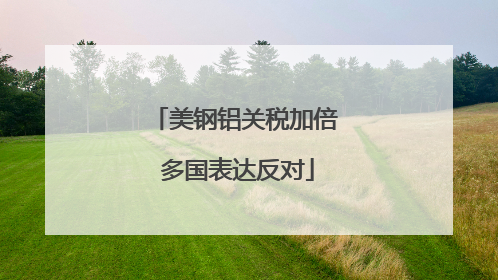 美钢铝关税加倍 多国表达反对