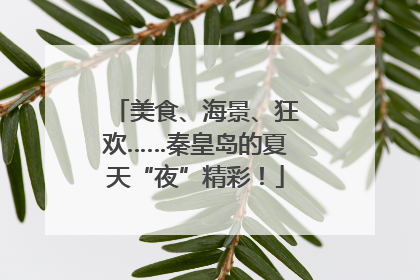 美食、海景、狂欢……秦皇岛的夏天“夜”精彩！