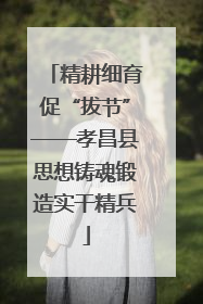 精耕细育促“拔节”——孝昌县思想铸魂锻造实干精兵
