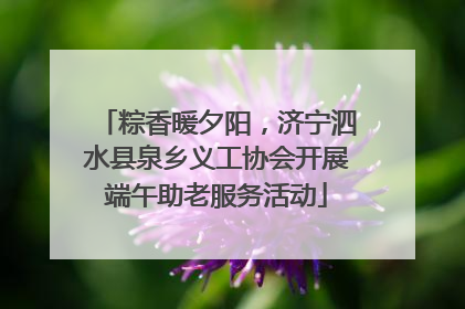 粽香暖夕阳，济宁泗水县泉乡义工协会开展端午助老服务活动