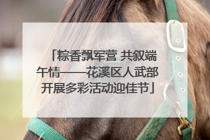 粽香飘军营 共叙端午情——花溪区人武部开展多彩活动迎佳节