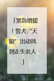 紧急增援！警犬“天狼”出动找到走失老人