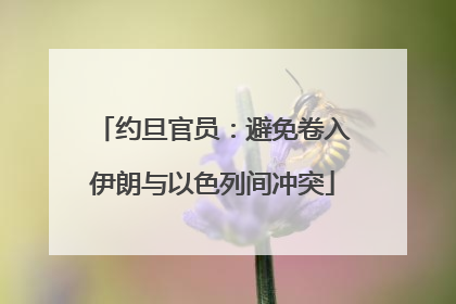 约旦官员：避免卷入伊朗与以色列间冲突