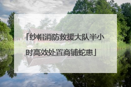 纱帽消防救援大队半小时高效处置商铺蛇患