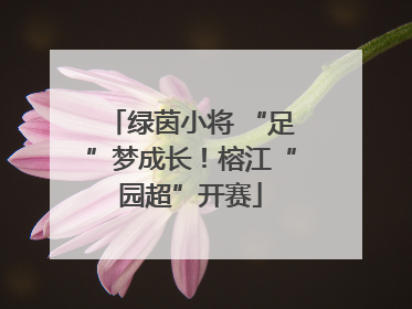 绿茵小将 “足”梦成长！榕江“园超”开赛