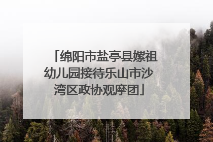 绵阳市盐亭县嫘祖幼儿园接待乐山市沙湾区政协观摩团