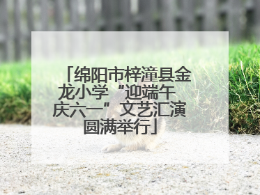绵阳市梓潼县金龙小学“迎端午 庆六一”文艺汇演圆满举行