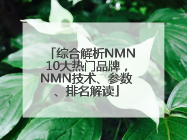 综合解析NMN10大热门品牌，NMN技术、参数、排名解读
