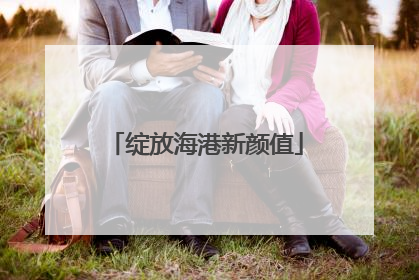 绽放海港新颜值