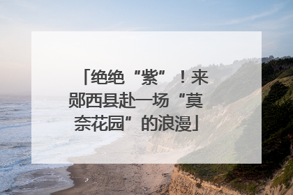 绝绝“紫”！来郧西县赴一场“莫奈花园”的浪漫