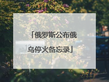 俄罗斯公布俄乌停火备忘录