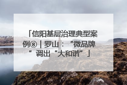 信阳基层治理典型案例⑧｜罗山：“微品牌”调出“大和谐”
