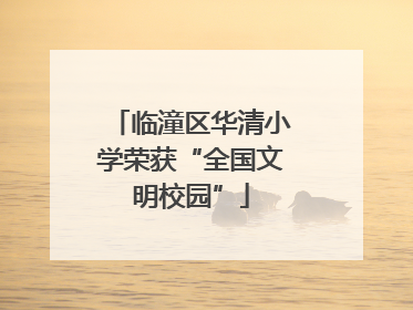 临潼区华清小学荣获“全国文明校园”