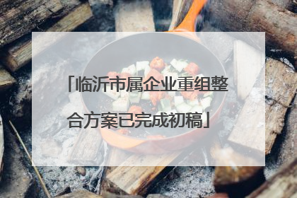 临沂市属企业重组整合方案已完成初稿