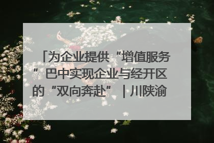 为企业提供“增值服务”巴中实现企业与经开区的“双向奔赴”｜川陕渝网络名人巴中行