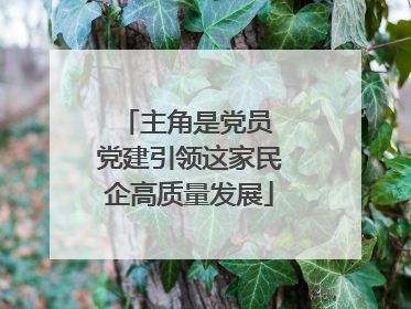 主角是党员 党建引领这家民企高质量发展