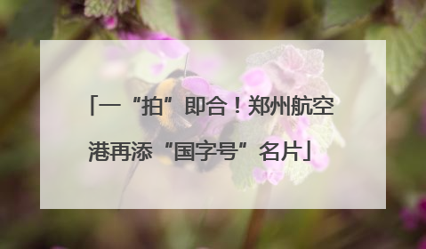 一“拍”即合！郑州航空港再添“国字号”名片