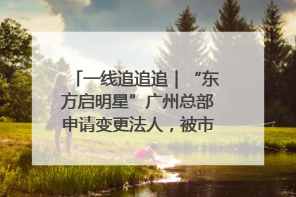 一线追追追｜“东方启明星”广州总部申请变更法人，被市场监管部门限制