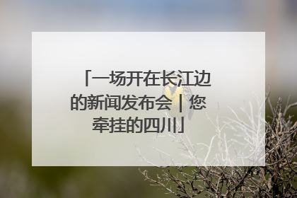 一场开在长江边的新闻发布会｜您牵挂的四川