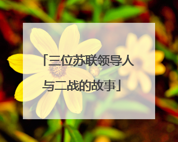 三位苏联领导人与二战的故事