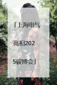 上海电气亮相2025碳博会