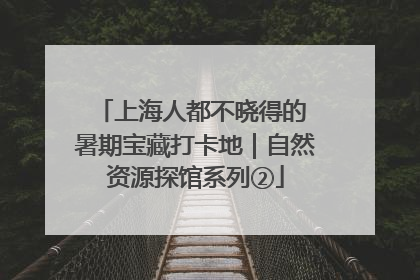 上海人都不晓得的 暑期宝藏打卡地｜自然资源探馆系列②