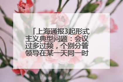 上海通报3起形式主义典型问题：会议过多过频，个别分管领导在某一天同一时段需参加3个会议