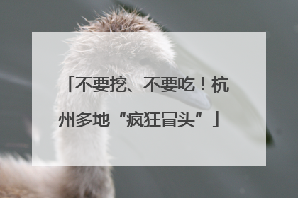 不要挖、不要吃！杭州多地“疯狂冒头”
