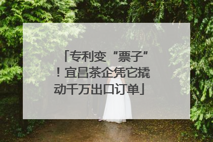 专利变“票子”！宜昌茶企凭它撬动千万出口订单