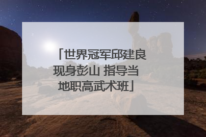世界冠军邱建良现身彭山 指导当地职高武术班