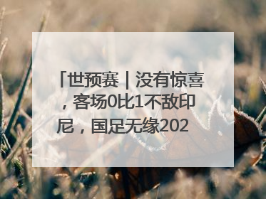 世预赛｜没有惊喜，客场0比1不敌印尼，国足无缘2026年世界杯