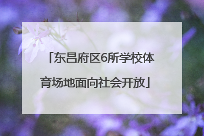 东昌府区6所学校体育场地面向社会开放