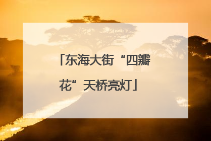东海大街“四瓣花”天桥亮灯