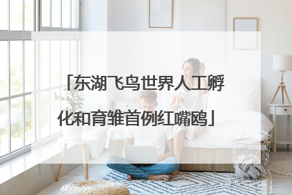 东湖飞鸟世界人工孵化和育雏首例红嘴鸥