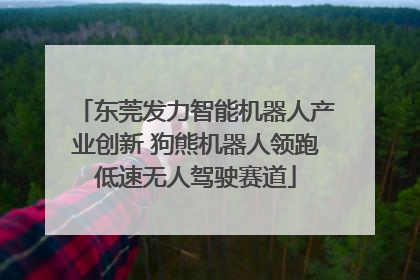 东莞发力智能机器人产业创新 狗熊机器人领跑低速无人驾驶赛道